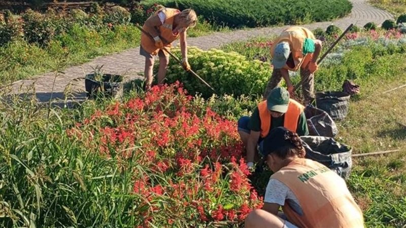 � ����������� ������ ������������� ������ � �����������