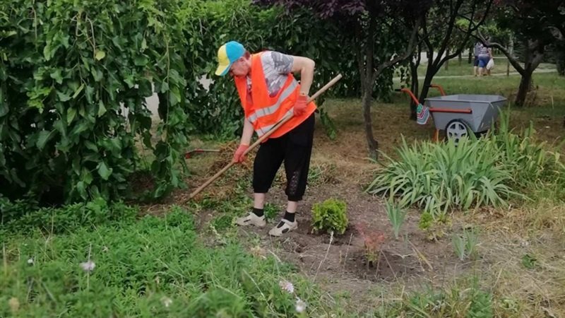 � ������� �������� ������� ������ � �����������