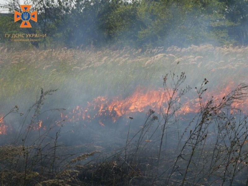 � ������� �� ������ ���� ���������� ��������� 30 ����� (����)