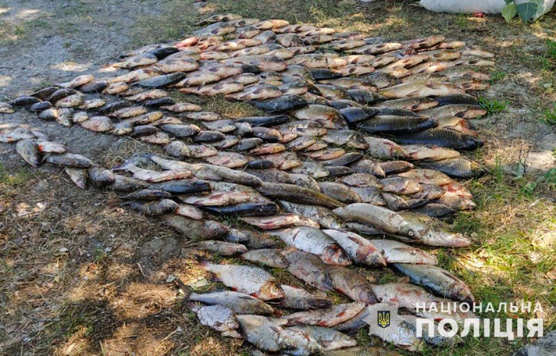 ���� �������� ������� �������� ����������. ����