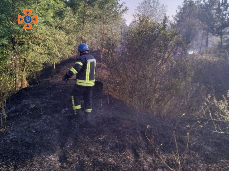 �� ������� ������������ ��������� 7 ������ �� ��������� ����� 6 ��