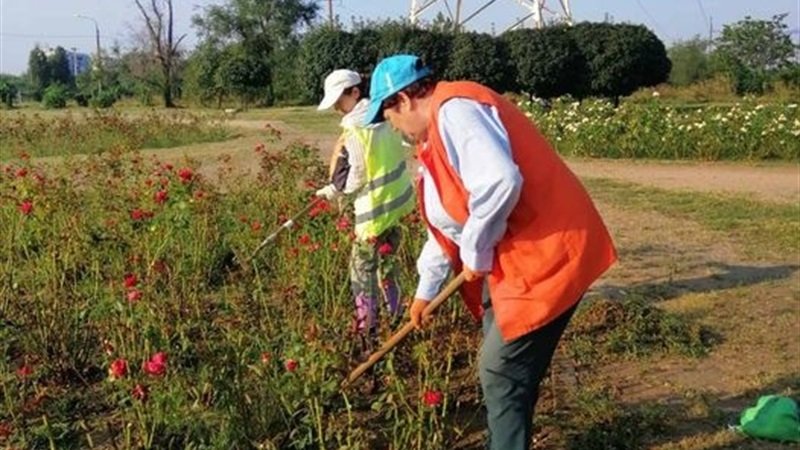 � ������� ������������ ������ ������ � �����������