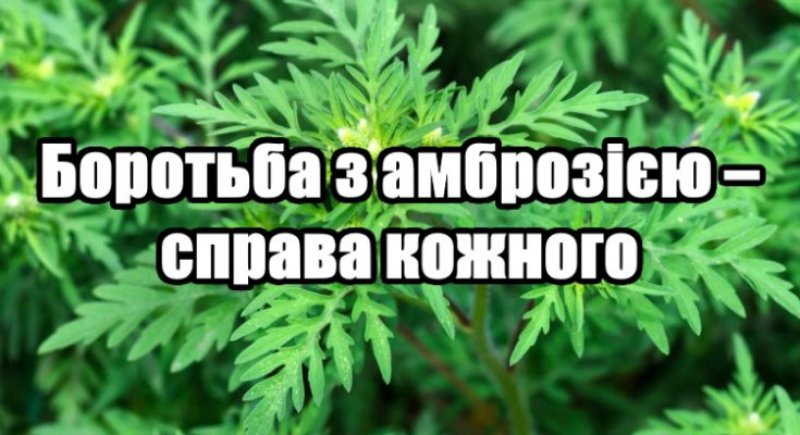 �������� ��������� ��������� ���� ����� �������� �����糿 � ���