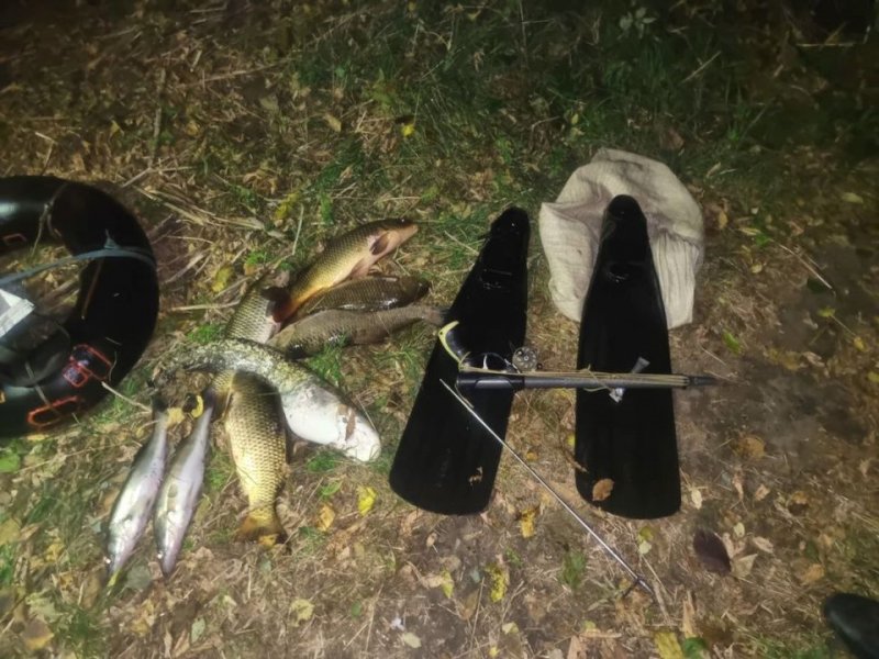 �� ������� ��������� �������-�������������� (����)