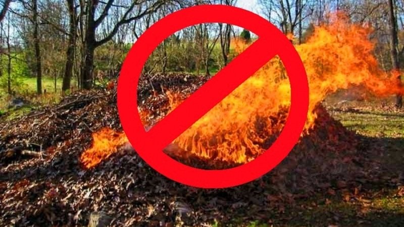 ��������� �������� �������� ��� �������� ���������� ���� ����� �� ������� �����