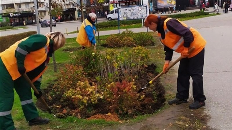 �������� ������������ ����������� ����������� ���������� ����