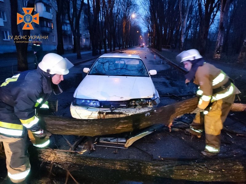 � ������� ���� ���� ������� � ������ ������ �� ������ ������