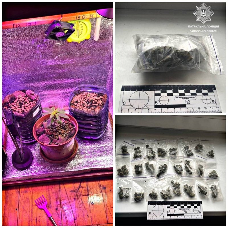 � ������� ������ ��������� ����� ���� ������