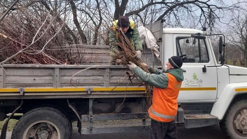 � ���������������� ������ ������������ ������� ����