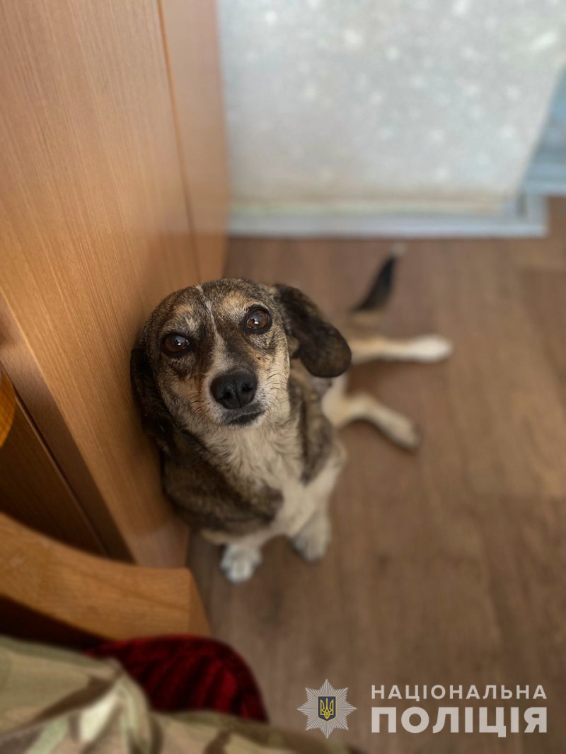 ������ � ������ �� ��’� ����� ���������� � ������� ���������� — ����