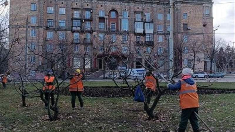 ���������� ���� «��������» �� �� «�����» �������� ��� � ������ �� ������� ��������