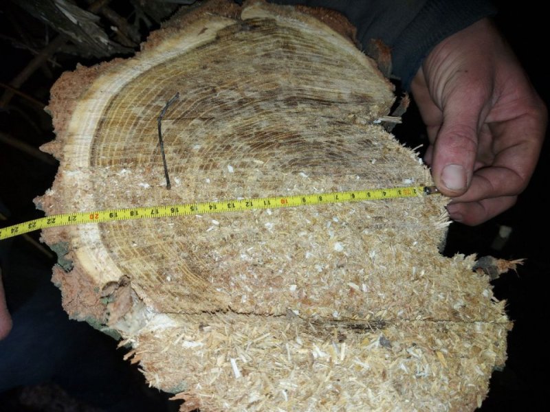 � ����������� ������ "������ ������" ������ ������ �� ����� 10 ����� ������� (����)