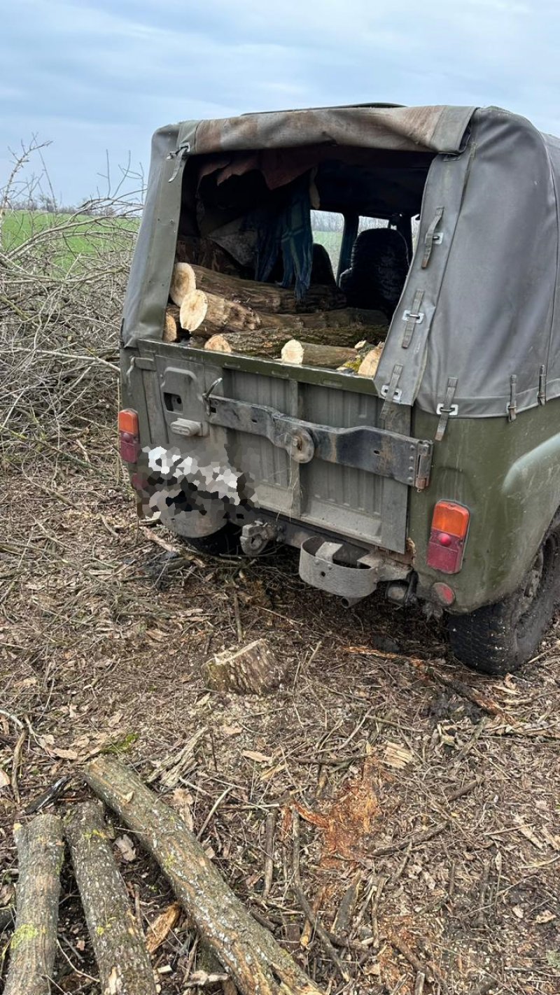 � ����������� ������ ������� «������� �������» — ����