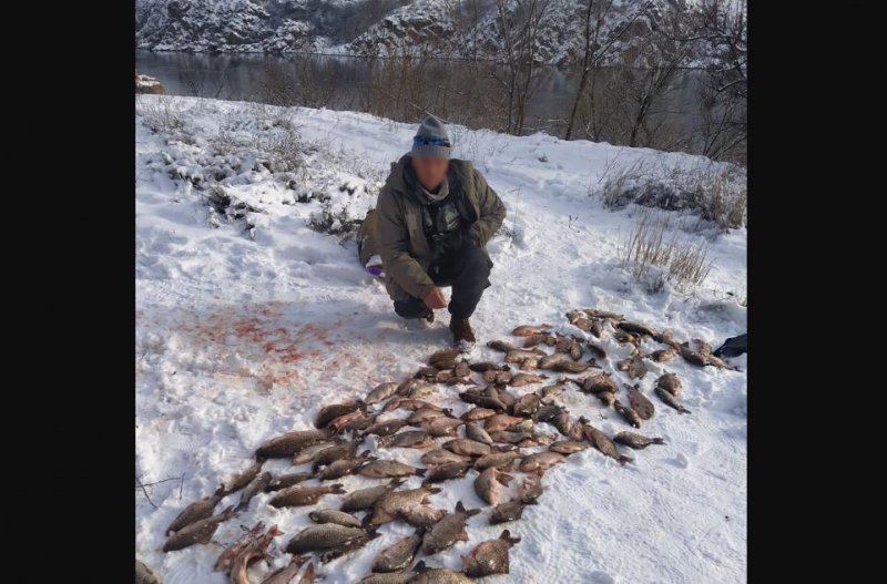 ��������� �������� ����� ���� �� ��������� ������������ ������. ����