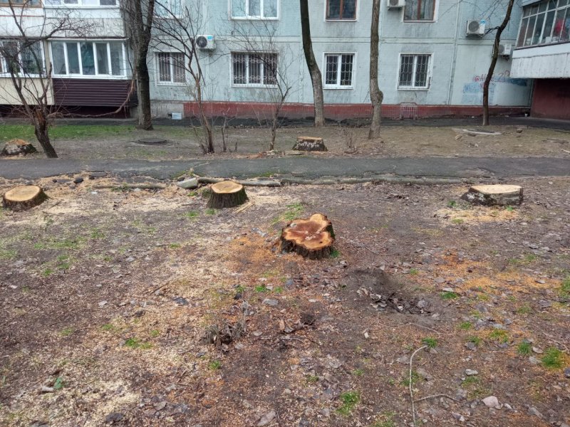 ����� �������� ����� ������� ����� 20 ����� ������