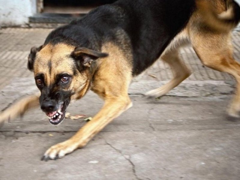 �� ������� ������ ������ ������� ������� ����� ������: �� ������