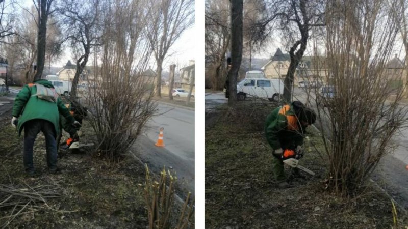 ������������ ������ ��� ���������� ���� ����