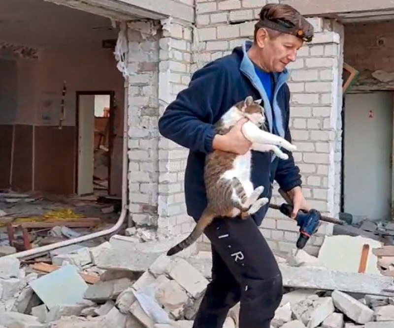 ������ �������� ��������� �������� ����: � ������