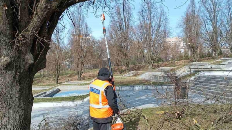 ������������ �������� ����� �����