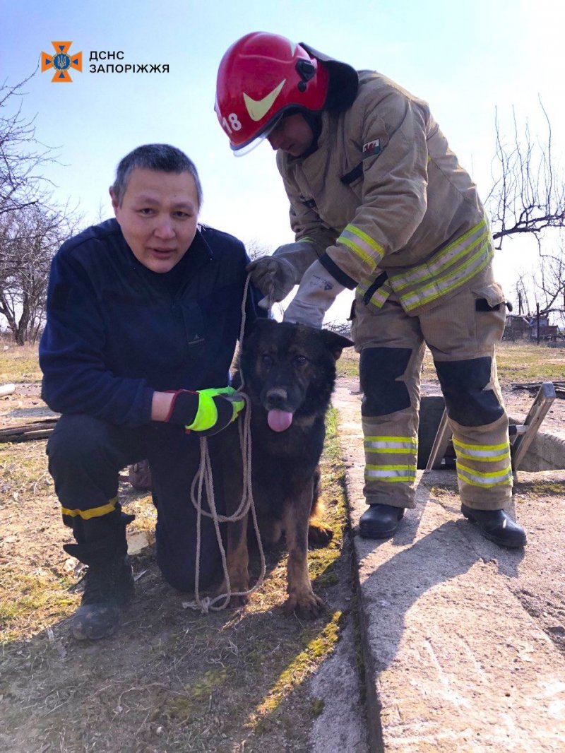 � ����������� ������ ������������ ��������� ������ — ����