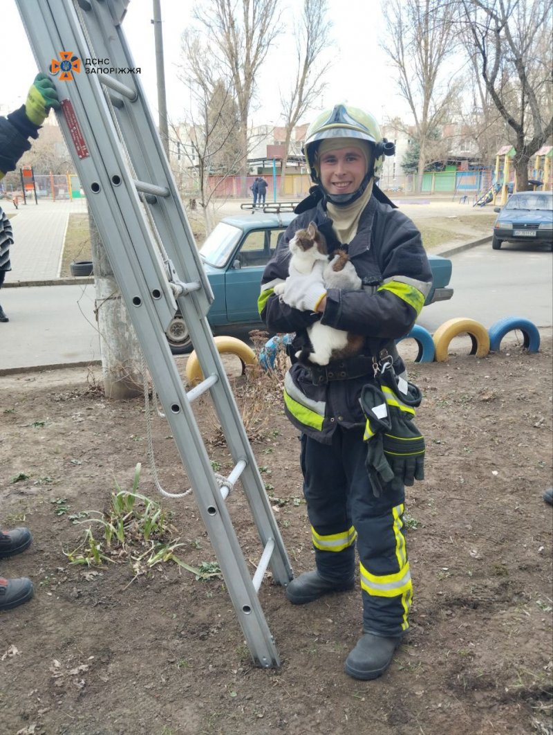 � ������泠���������������������� ������ — ����