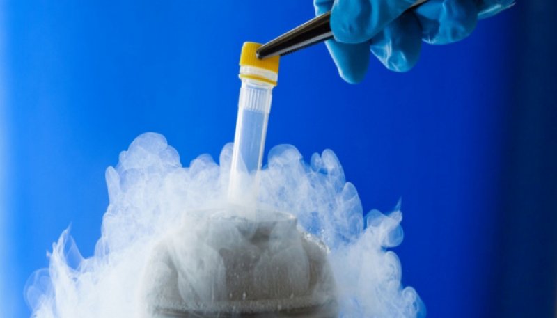 ��������� ������� ����� ��� ���������� �������������� ����� ���������