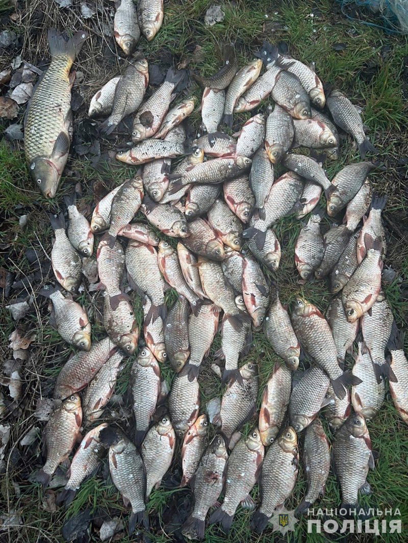 � ������� ��� ���������� ������� ������ ��������� �� �������� ���� ������� 260 ����� �������