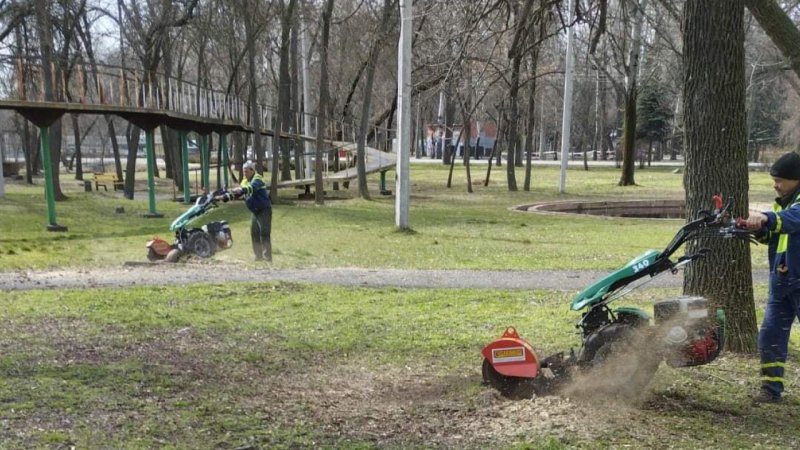 ������������ ������ �������������� �������