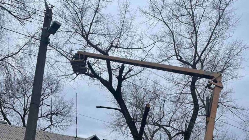 � ����������� ������ ������� ������ �����