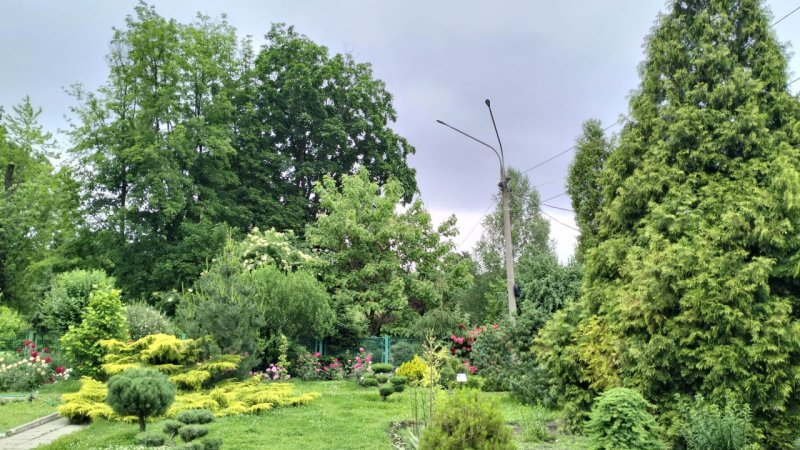 � ������� ���������� ������� �������