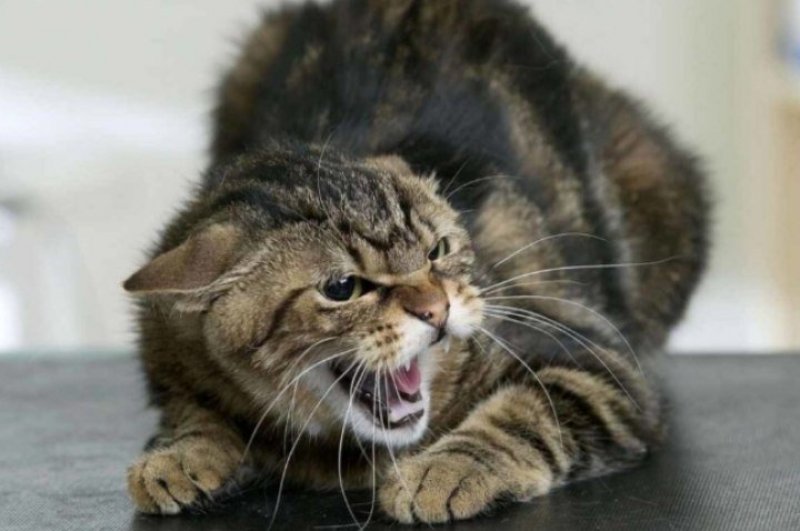 � ��������� ���������� ������� ������������ ������ ���������� ������� ������, ������ �� ����