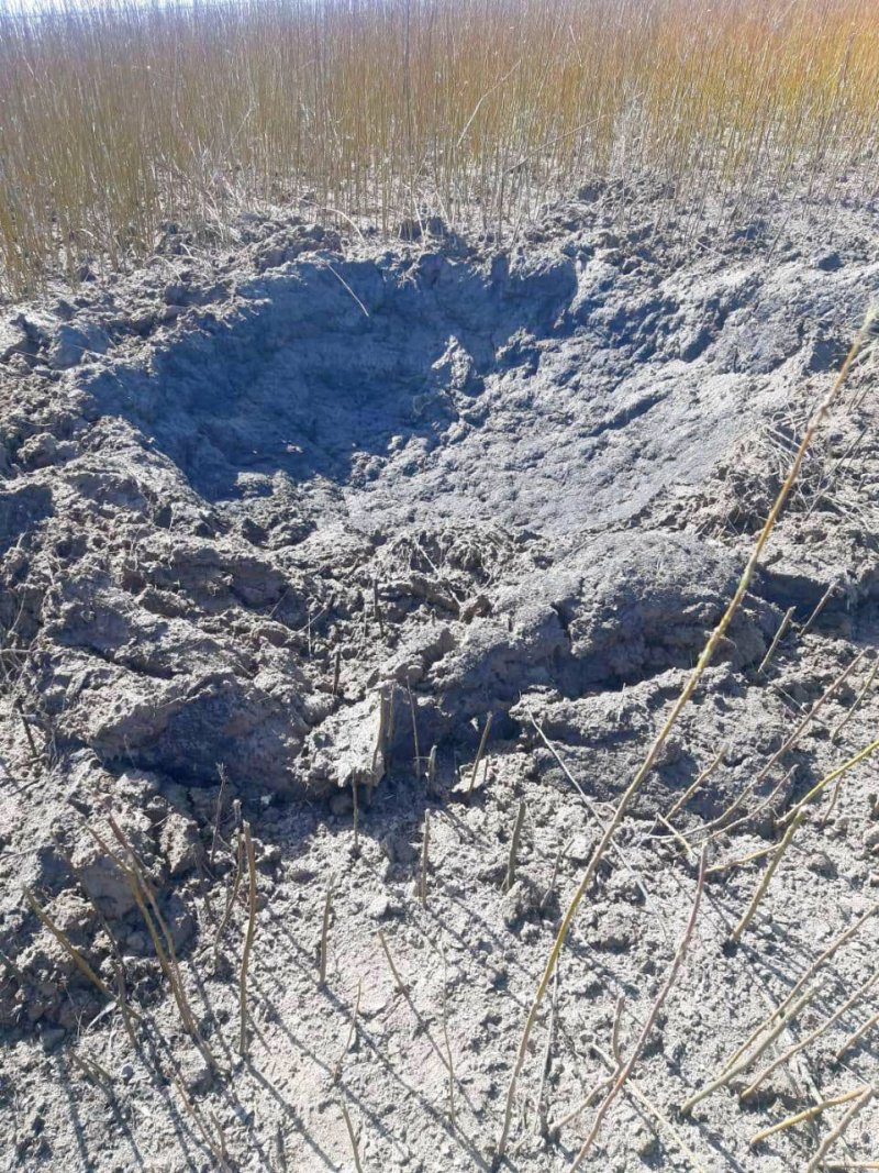 �������� �� ����������� �������� ������ �� 31 �������