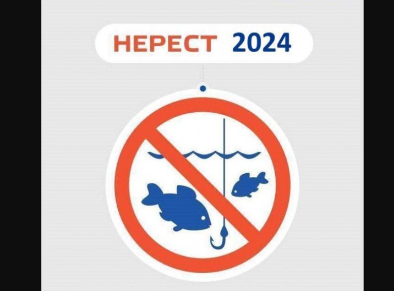 �� ������� � 1 ����� ������ ��������� �������� �� ����� ����