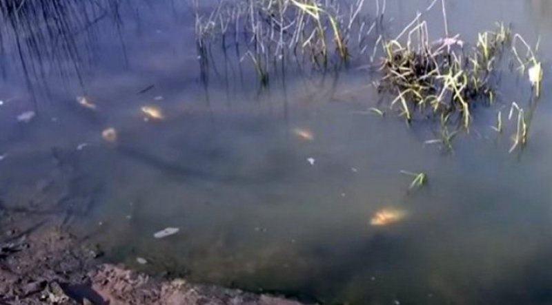 �������� �������� ������� ����� 170 ������� ������ ������