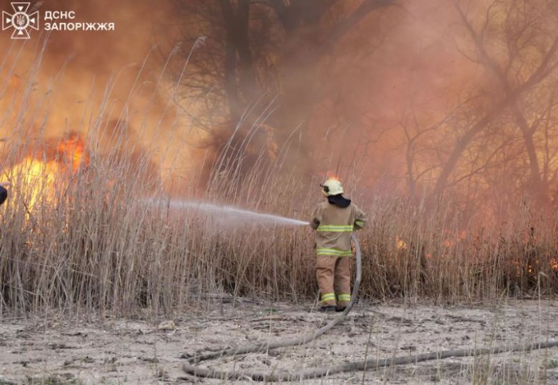 � �������� ���� ������ ������������� ��������� ������. ����