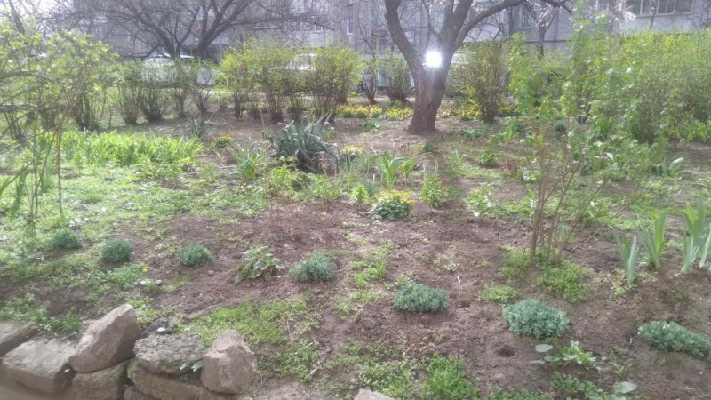 ̳����� ���������� ����� �� ���������� ����