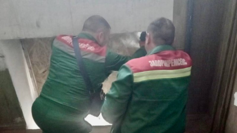 ������������ �������� ����� ����