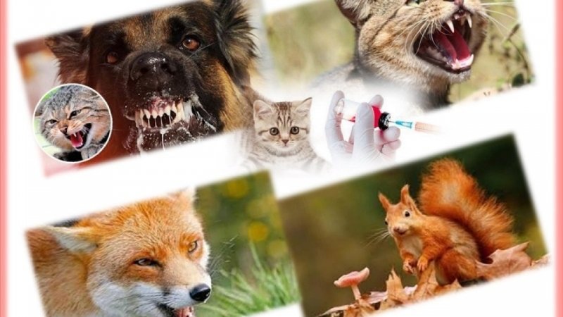 ������������ ����� �������� ������