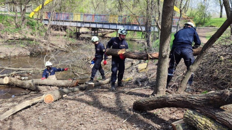 ̳���� ������ ����� ��� ����� ���������