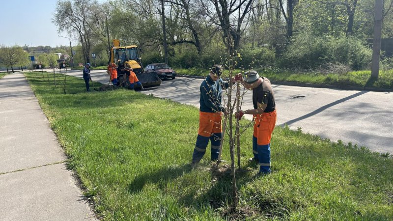 ��� ����� ��������� ����������� �� ������