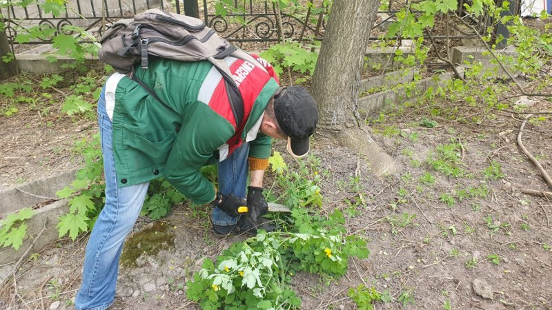 ������������ � ������ ������ ��������� ���� �� ����