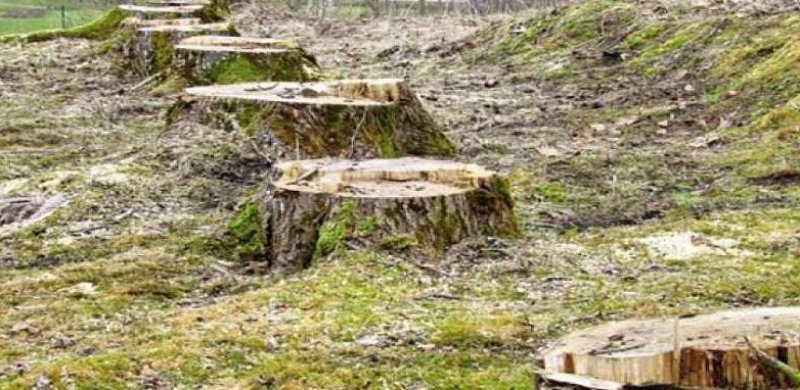 �������� ���������� ���� �������� ��������� �� �������� ���� ������: ���������