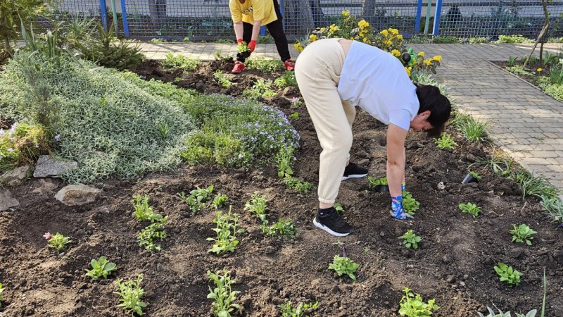 ���� �������� ������ �������� �������������