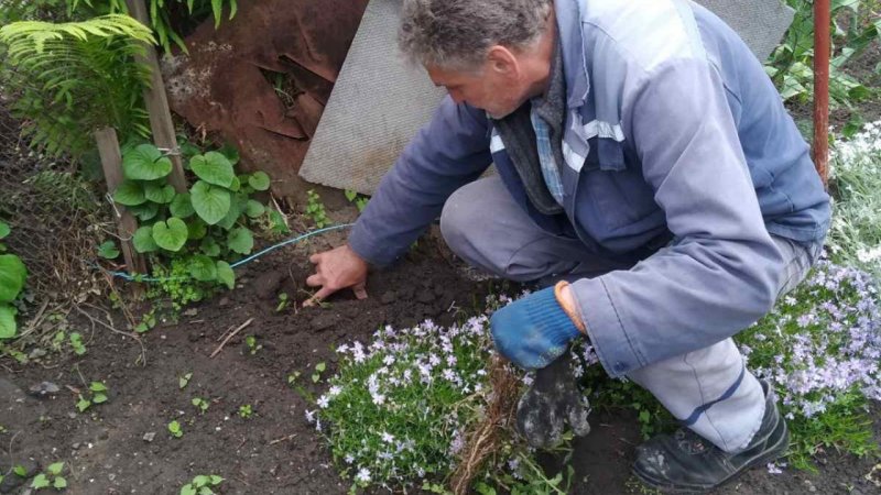 ��� ����� ��������� ����������� �� ������������� ������