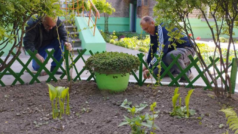 �������� ���� �������� ������������� ������