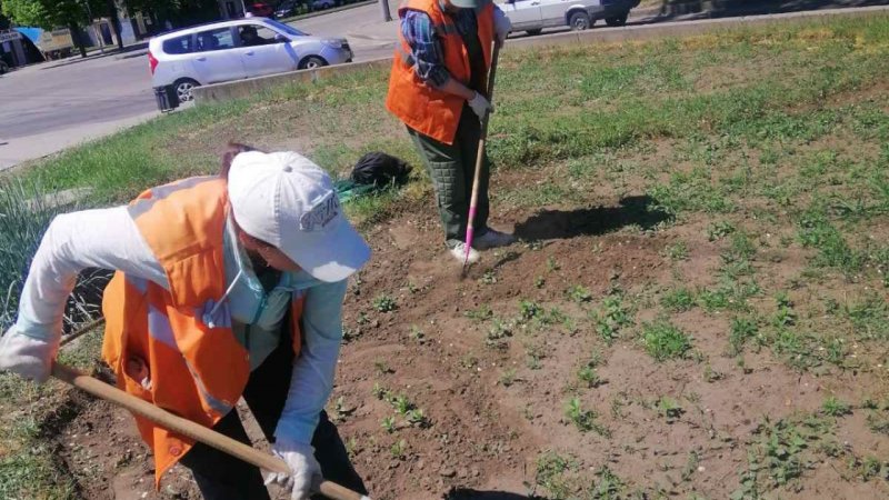 ������������ ���������� ����� �� ������