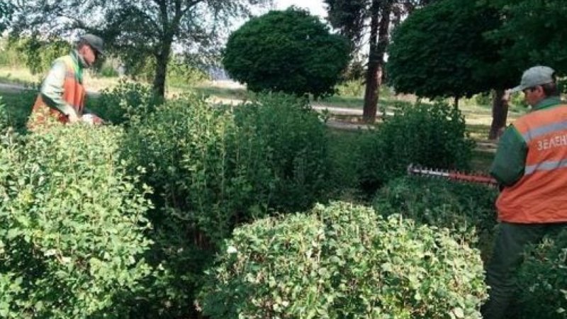 ������������ ����������� �������� ��� � ���