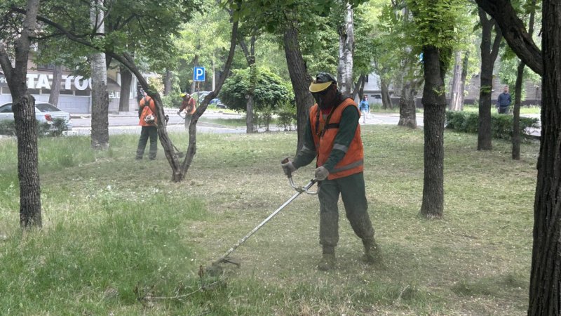 � ��� ����� ���� �����