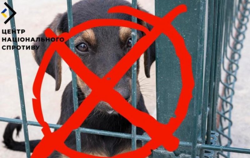 �� ��� ������������� �������� �������� ������������� ������