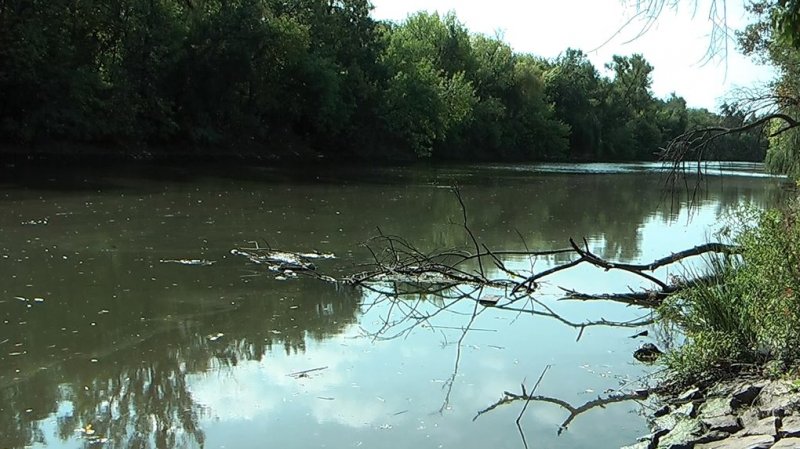 ³� ������� 2024 ���� �� �������� ��������� ������ �������� 4 ������